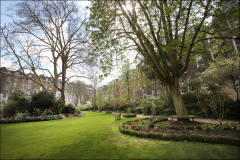 SB-©-Triangle-Gdn-27