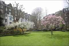 SB-©-Triangle-Gdn-25